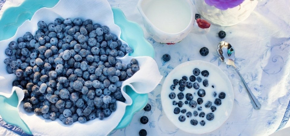 Blueberries Fertility Benefits