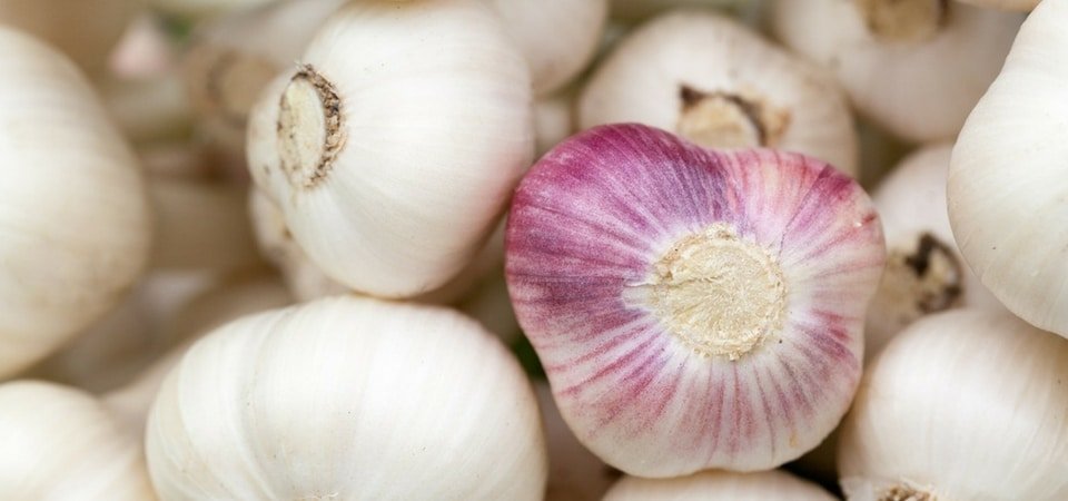 Garlic Fertility Benefits