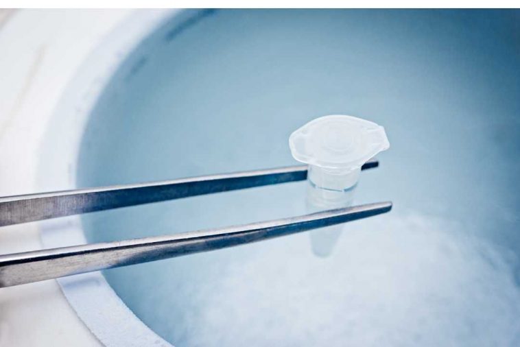 Egg Freezing: Is It An Fertility Insurance Policy Egg Freezing