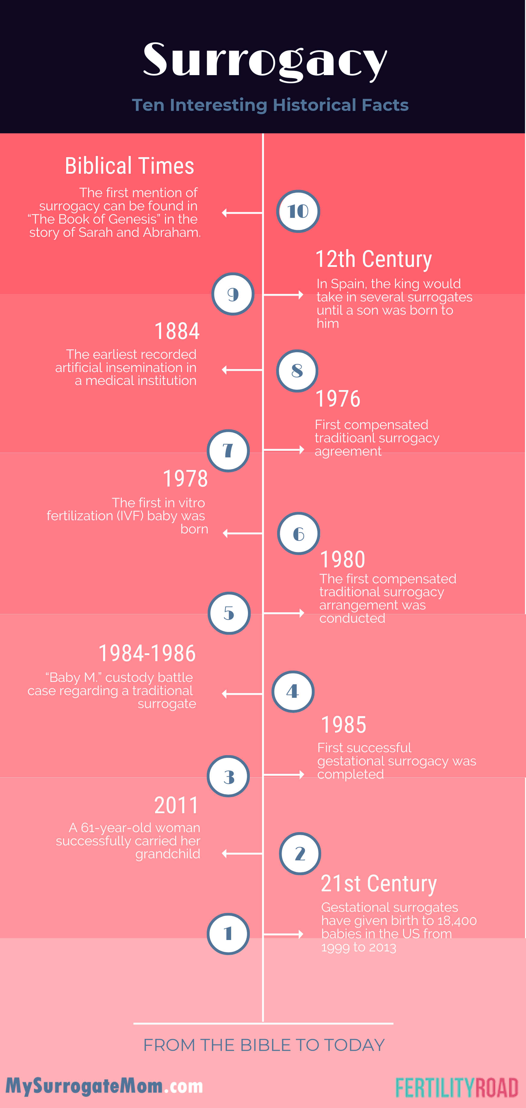 10 Fakten zur Leihmutterschaft