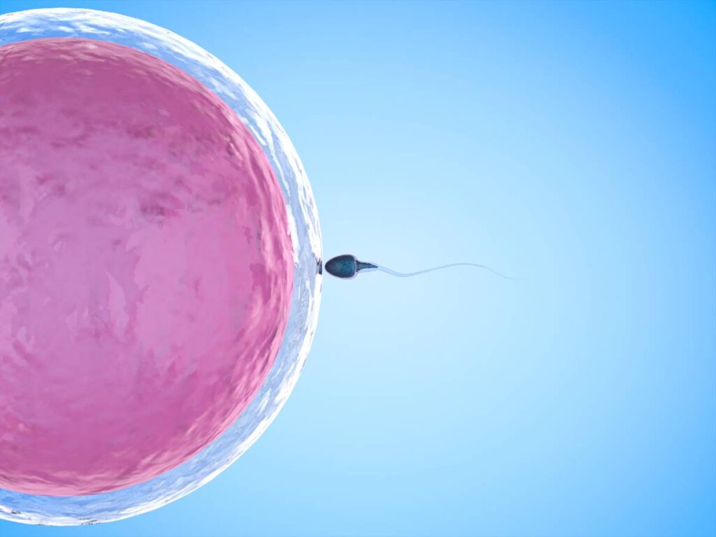 5 fertility hacks to support sperm health