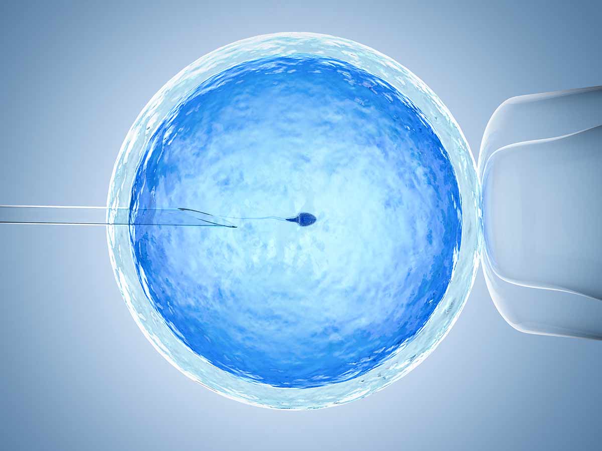 More Women Consider Fertility Treatment As Lockdown Continues