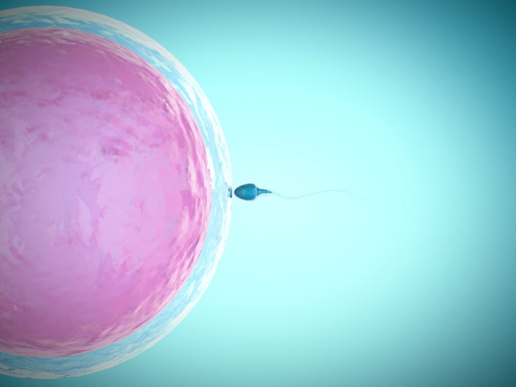 IVF treatment step by step