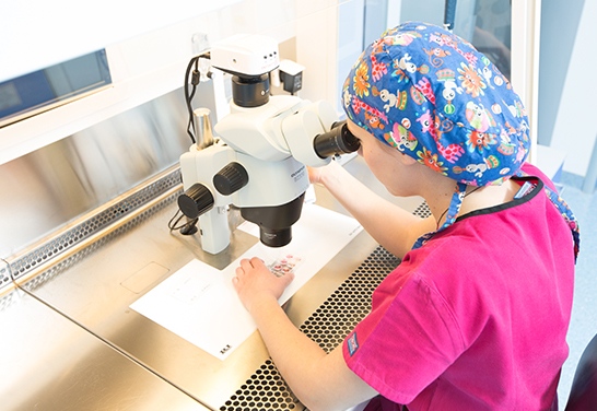 Laboratorio di fecondazione in vitro presso Assisting Nature