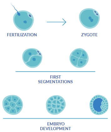 Genetics is the basis of Assisted reproduction