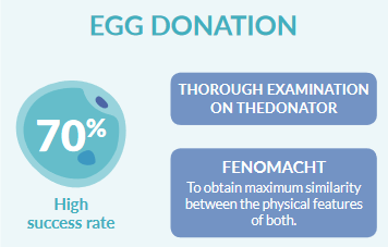 EGG DONATION: The solution