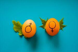 Der Artikel befasst sich mit dem Thema der Verwendung von IVF zur Geschlechtsbestimmung. Das abgebildete Bild zeigt zwei Eier, die jeweils mit männlichen und weiblichen Symbolen verziert sind.