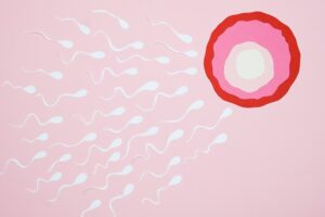 genetic-quality-of-sperm