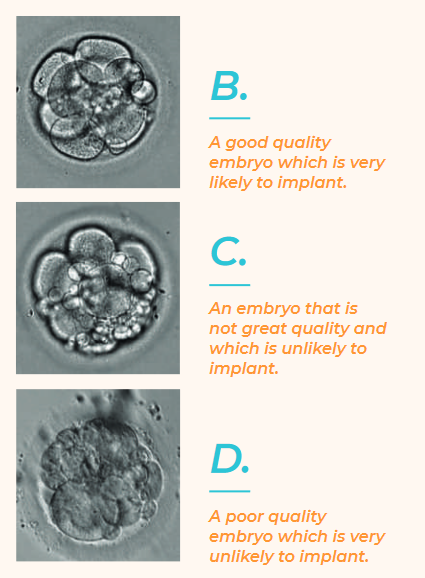 Criteria for Embryo Classification 2