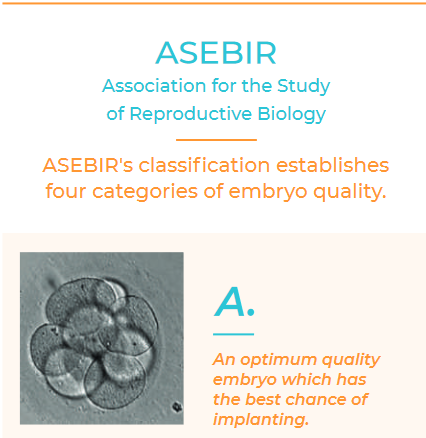 Criteria for Embryo Classification