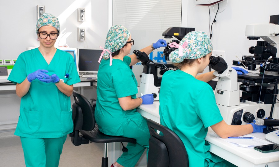 UR Vistahermosa 2 UR Vistahermosa - Embryology Laboratory