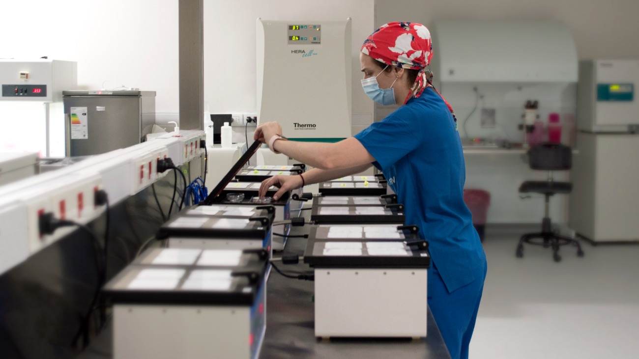 Embryo Lab at WeFIV