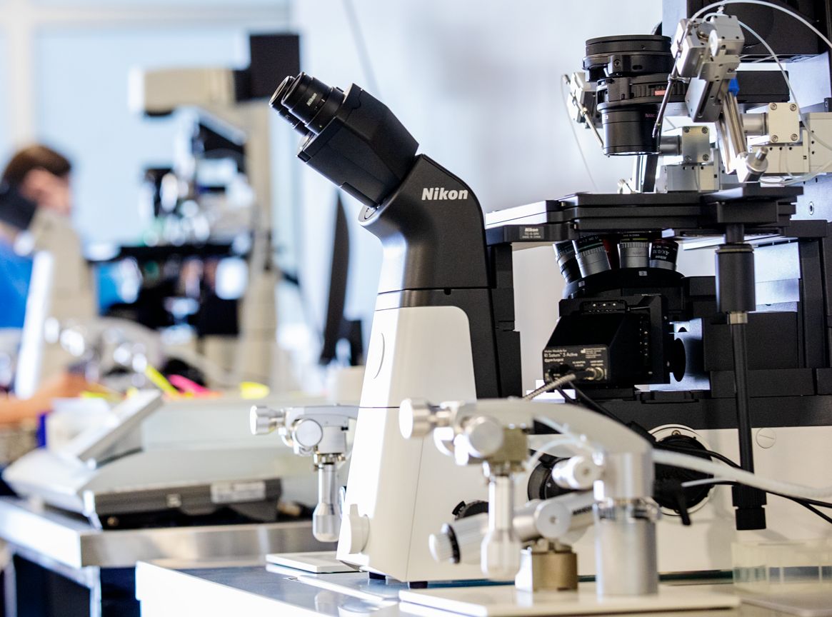 LeaderMed 6 LeaderMed embryology lab with Nikon microscope for ICSI procedure in Tbilisi Georgia IVF clinic