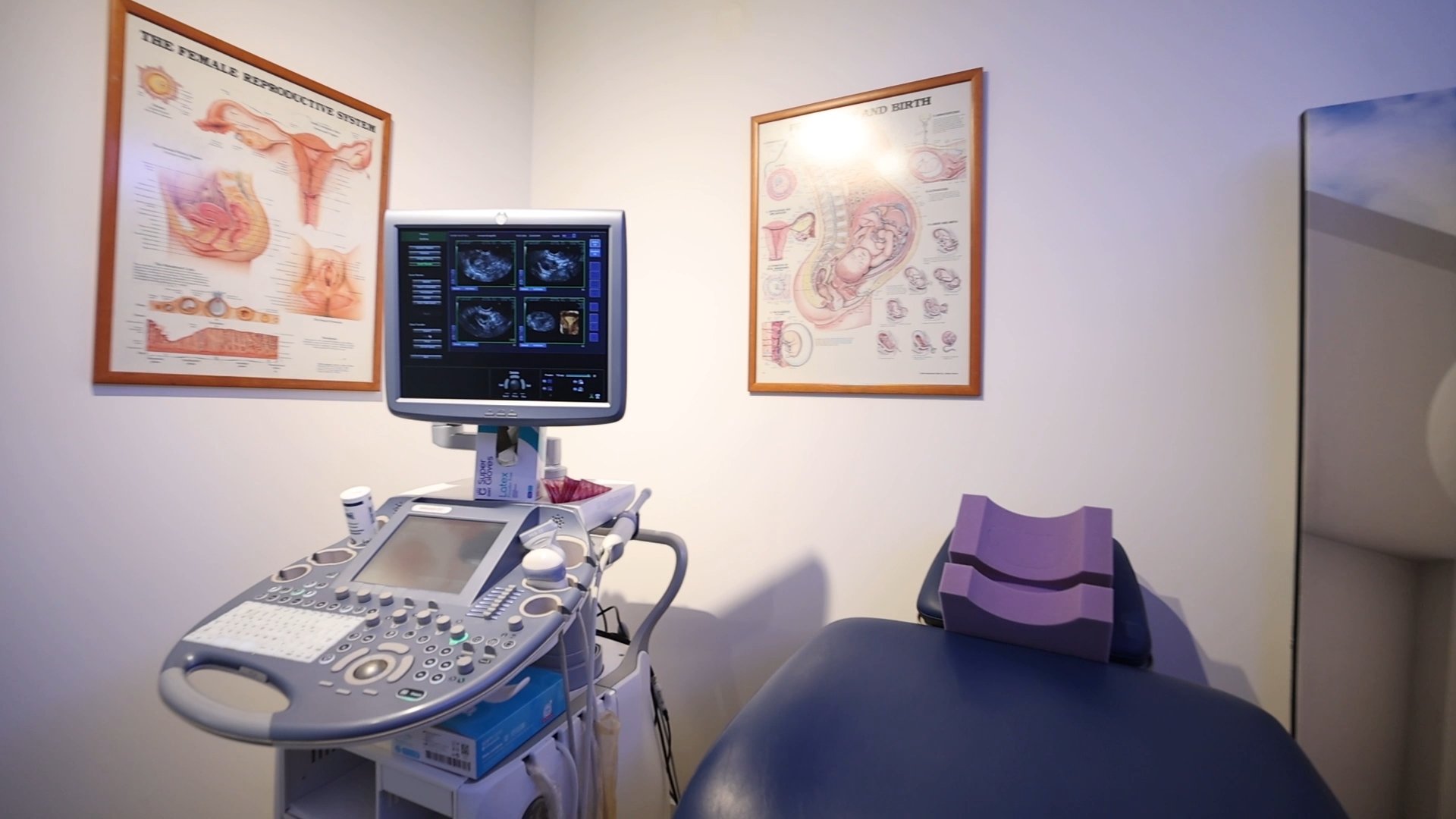 Fertility First 2 Fertility First Ultrasound Room with Reproductive Anatomy Charts