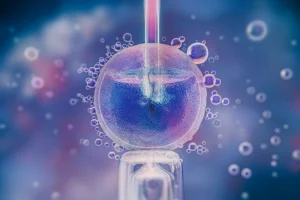Microscopic view of a sperm being injected into a human egg during ICSI procedure