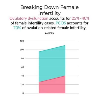 Infertility Statistics 2026: The Data Behind a Widespread Health Issue 2 Stacked bar chart breaking down female infertility causes, showing that ovulatory dysfunction accounts for 25–40% of cases and PCOS for 70% of ovulation-related infertility.