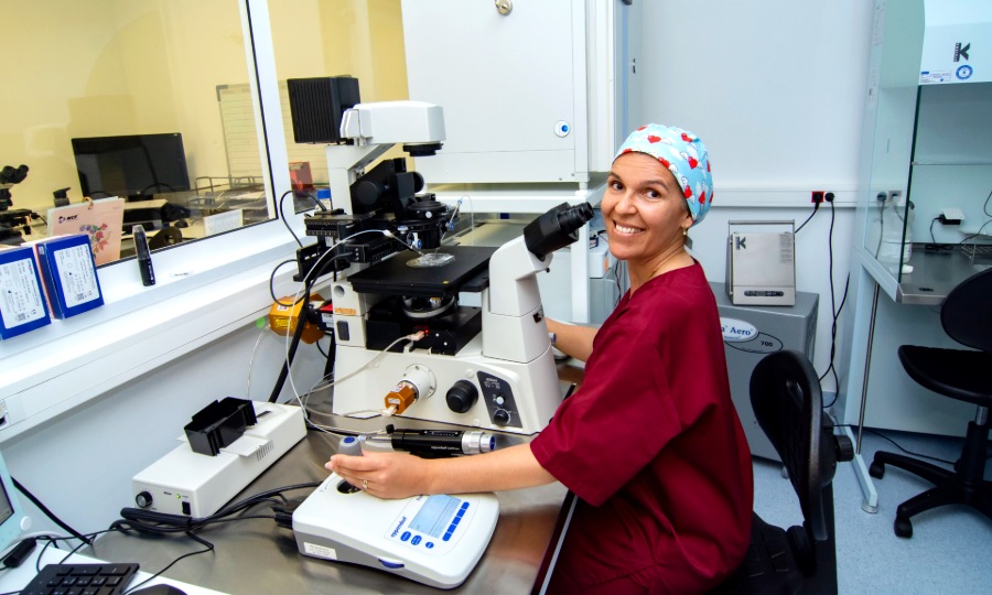IERA Lisboa Quironsalud 4 Embryology lab at IERA Lisbon